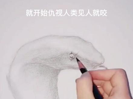 美术专业蛇的素描画法