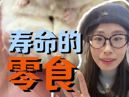 减少仓鼠寿命的零食#真实生活分享计划 #仓鼠 #仓鼠科普 #金丝熊 #金丝熊日常