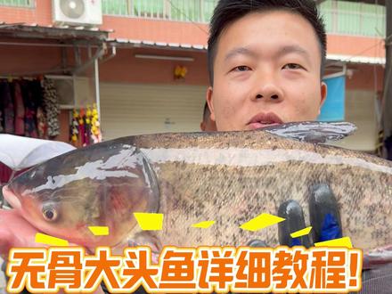 无骨大头鱼详细教程!,这种方法出肉率嘎嘎高 #杀鱼教程 #无骨鱼