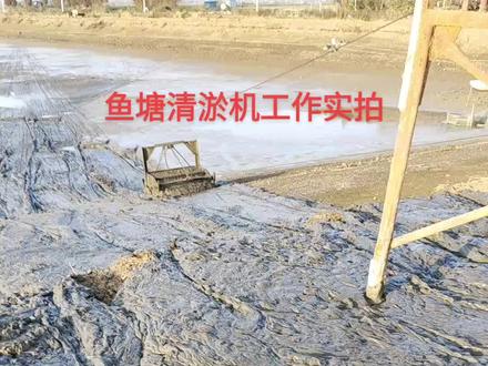 清淤泥对水产鱼类健康养殖大有益处!!!#现场实拍 #生态养殖