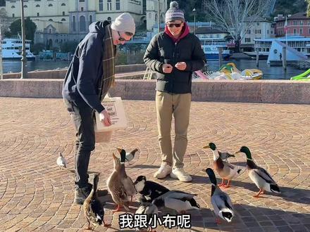 曾经的少年,陆陆续续的也进入到中年油腻男的行列了。 #抖音看世界 #阿尔卑斯山 #千万生活dou来拍