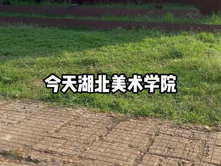 开学日带你逛湖美#湖北美术学院 #开学 #开学季 #2023开学季 #新生报到