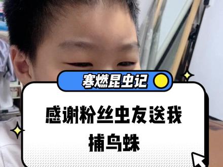 路漫漫其修远兮,吾将上下而求索。感谢@spittle沫蝉 ,我一定会好好养的。感恩每一位粉丝的厚爱和关注,我们一起学习昆虫知识,友好交流,共同探讨!#寒燃 #昆虫记 #捕鸟蛛 #蜘蛛 #奇妙的动物