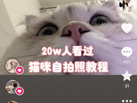 第一次出教程好紧张🫣#猫咪 #拍照教程