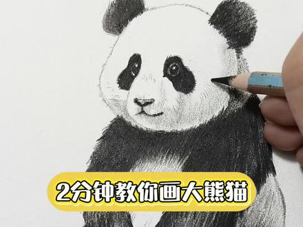2分钟教会你画可爱大熊猫! #绘画教程 #零基础学画画 #素描 #大熊猫 #治愈系绘画