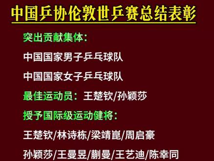 中国乒协展开总结表彰大会#国乒