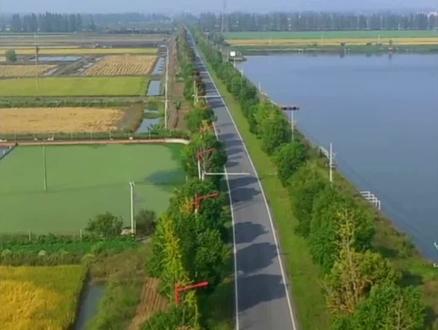 #上热门 #2023潜江返湾湖湿地马拉松大赛全程比赛路线正式公布#届时,后湖又将成为世界关注的焦点#必将会出现人挤车堵的场面