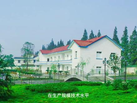 一只鸭,一道美味!做鸭我们是认真的! #童胖子酱板鸭 #抖音美食 #美食 #附近美食 #湖南特产