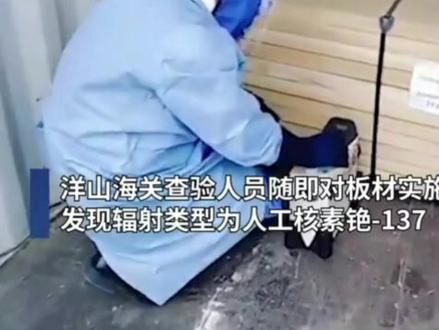 上海 海关退运190余吨被放射性污染板材#污染#板材 #海关