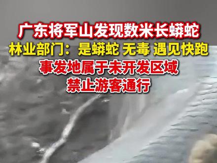 #广东将军山发现数米长蟒蛇 ,林业部门:遇到快走,系未开发区域。#美丽主播说新闻
