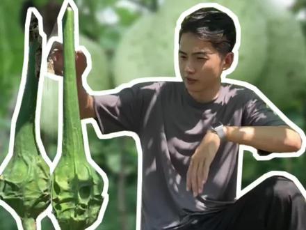 为数不多的整儿八经的鹤首,朋友们好好欣赏吧!!#葫芦