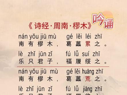 吟诵-13诗经周南樛木#古诗 #国学诗词 #诗经