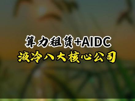 算力租赁+AIDC+液冷八大核心公司了