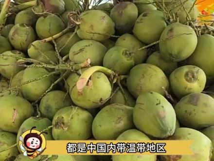 315曝光,真正好的椰子水应该被看见#315 #椰子水 #食品安全