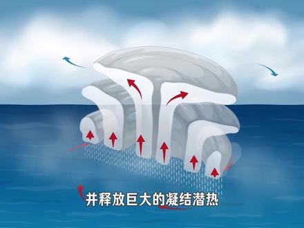 向台风眼扔一枚核弹,能炸散台风吗?从台风形成的机制分析 #台风白海豚 #台风眼 #科普一下 #涨知识 #暴雨来袭