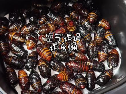 ‼️这不是黑暗料理~这是东北人的年味儿🧨 #小年夜美食大赏 #全抖音集体召唤年味 #蚕蛹 #跟着抖音学做菜 #空气炸锅 @抖音小助手