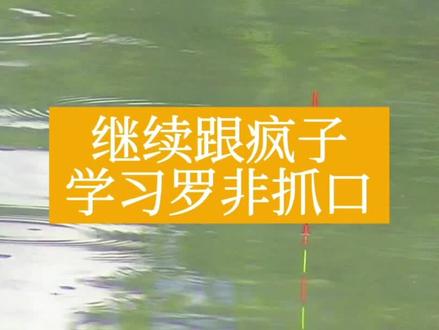 继续跟疯子学习罗非漂相,不要再说你们还没学会了 @游钓黑坑、疯子 #钓罗非技巧 #钓罗非 #快乐垂钓 #钓鱼