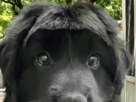 三招教你赛博变帅#赛博 #豆包 #爆改 #男生变帅成本有多低 #男生变帅小技巧