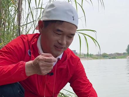 鰱鳙篇——钓鰱鳙总是有口打不到的原因终于找到了😊😊😊#dou是钓鱼人#邓刚钓鱼技巧