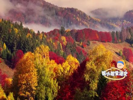 谁还记得这篇小学课文?来举个手
三年级上册课文《美丽的小兴安岭》朗读
#小学语文 #课文动画 #课文朗读