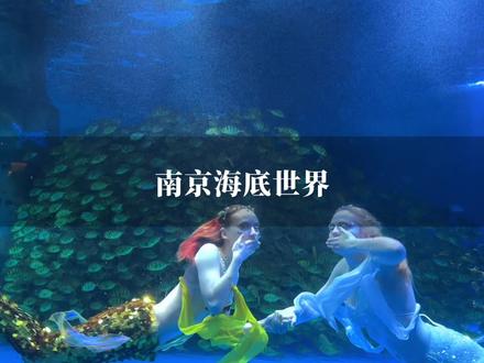 南京海底世界怎么玩?暑假还有战马奇技嘉年华表演#海底世界战马奇技嘉年华 #亲子游玩好去处 #南京海底世界 #好好旅行节