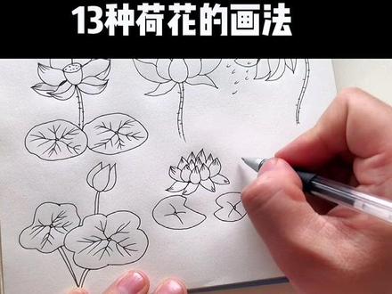 简笔画10000例讲解:13种荷花的画法#跟着抖音学画画 #亲子简笔画 #育儿简笔画
