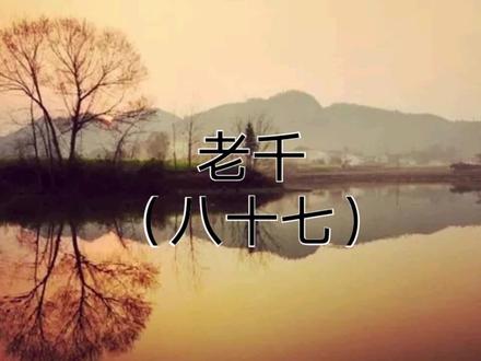 #讲故事 #网络小说 我当老千的那些年