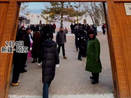 “若为热爱,便所向披靡”娇龙回家了#贺娇龙#娇龙花#昭苏