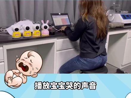 随机挑选4台机器,在实验室播放猫叫、狗叫、宝宝哭的声音,测试萌未来婴儿监护器哭声侦测的灵敏度 #科学实验 #人类幼崽成长记 #萌未来婴儿监护器
