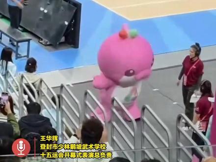 原来“大湾鸡”都是练家子,会武术的河南“鸡宝宝”玩疯了 全员16岁以下,每天负重8公斤#大湾鸡 #少林武术 #全运会 #大河报河南