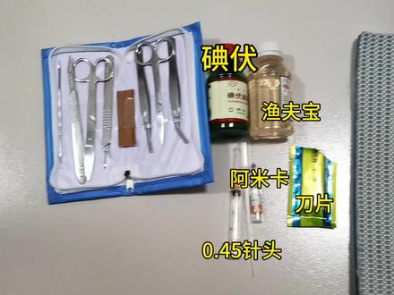 又是动针动刀的一天#观赏鱼 #鱼缸过滤 #鱼病防治