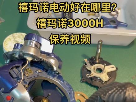 本人最喜欢的禧玛诺电动轮。3000H保养视频。