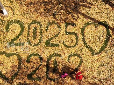 南京你是懂浪漫的!环卫大叔打造银杏落叶打卡点