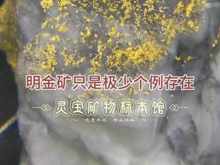 灵宝矿物标本馆#矿山开采 #金矿 #贵金属#黄金#化验单