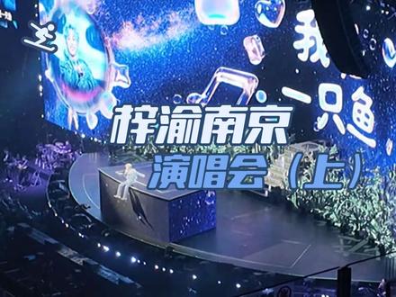 梓渝12.19南京演唱会(上) |大疆pocket3拍摄,声音效果很好,就是我跟相机还不太熟 #梓渝 #lp #演唱会