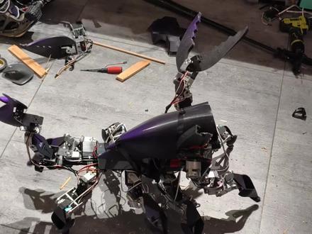 做了个玩具蝎子 #自制玩具 #手工diy#手搓万物