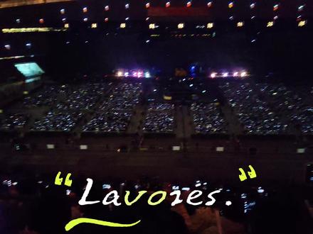 3.15鸟巢《青火》全程🥰🥰🥰#神级现场 #黄子弘凡 #演唱会 #努力去见他 #演唱会才是我的乌托邦