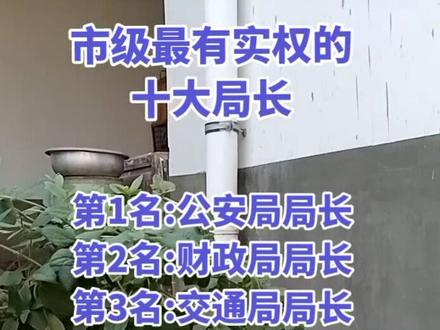 市级,最有实权的10级局长
