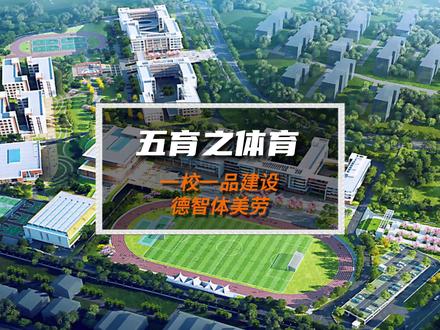 校园文化设计经验分享:一校一品五育文化主题之体育!#专业的事交给专业的人 #校园文化 #校园文化设计 #校园文化建设 #设计