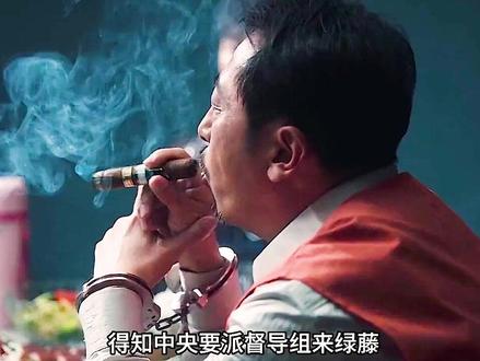 马帅为逃避中央指导组审讯,竟掰断自己的小拇指 #扫黑风暴
