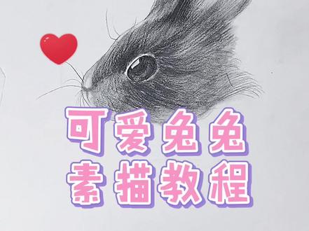 #素描 怎么可以吃兔兔,兔兔那么可爱😋