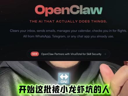 开始这批被小龙虾坑的人 #openclaw #量化交易 #龙虾openclaw #养龙虾 #量化软件