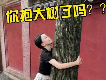 春天来了,速去抱树!!! 恢复能量!!!!