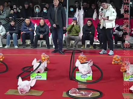 大哥太牛逼了,直接把海洋吓跪了#套圈游戏 #海洋1625#海洋大舞台