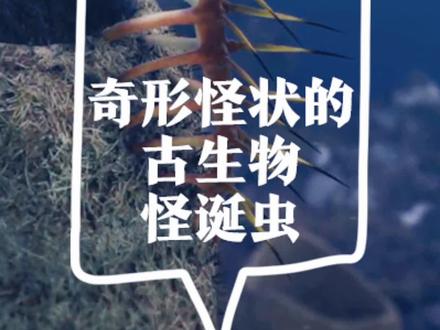 #创作灵感 奇形怪状的古生物系列之怪诞虫:你见过怪诞虫的化石吗?怪诞虫怪诞在哪里?
#怪诞虫 #奇妙知识在抖音 #萌知计划 #涨知识 #科普 #冷知识