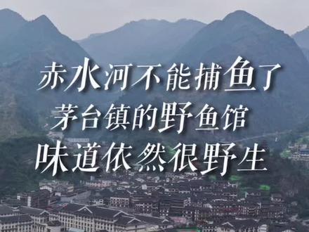赤水河不能捕鱼了,茅台镇的野鱼馆味道依然很野生#茅台 #泡椒鱼 #清汤鱼 #美食 #禁渔期 #贵阳