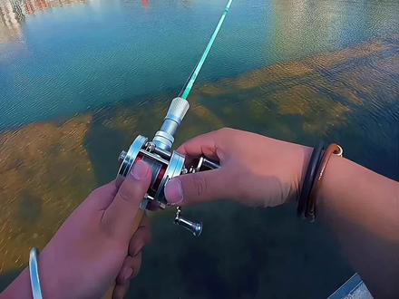 接着上期,继续聊聊AWM长白山
#一般人不告诉他 #AWM长白山 #路亚弹射 #路亚