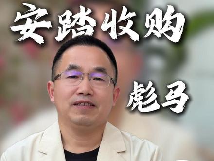 安踏拿下彪马,安踏全球收购的三次迭代 #安踏 #彪马 #谈个毛供应链 #服装 #收购