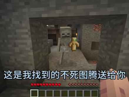我的世界:我遇到了一只善良的骷髅