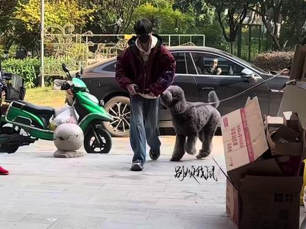 皮皮:哥哥等等我呀#左奇函#别烦我鼠